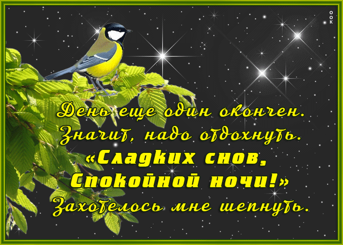 Picture картинка спокойной ночи, день еще один окончен