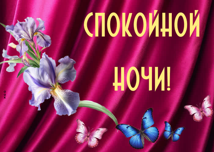 Picture картинка спокойной ночи с цветком ириса