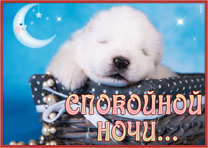 Picture картинка спокойной ночи с крохотным щенком