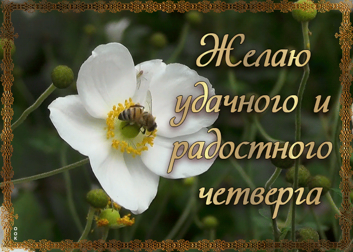 Картинка картинка удачного четверга