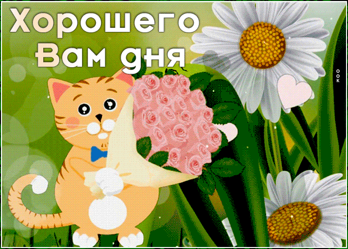 Картинка картинка удачного дня