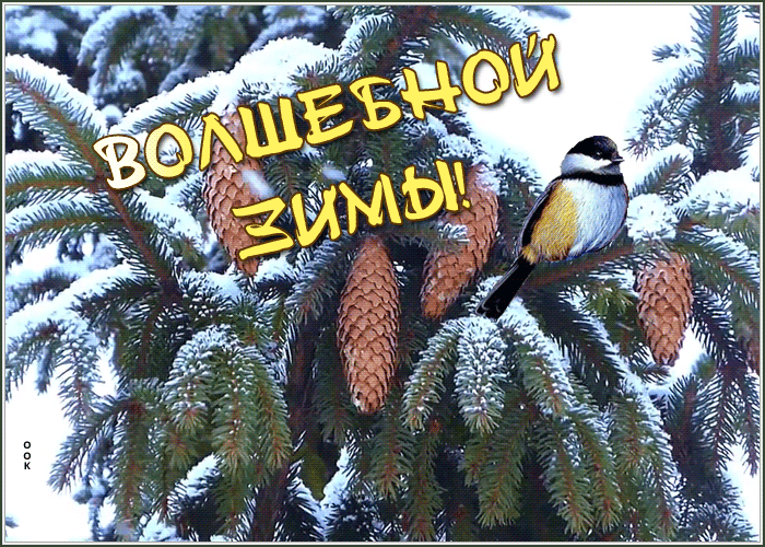 Картинка картинка волшебной зимы
