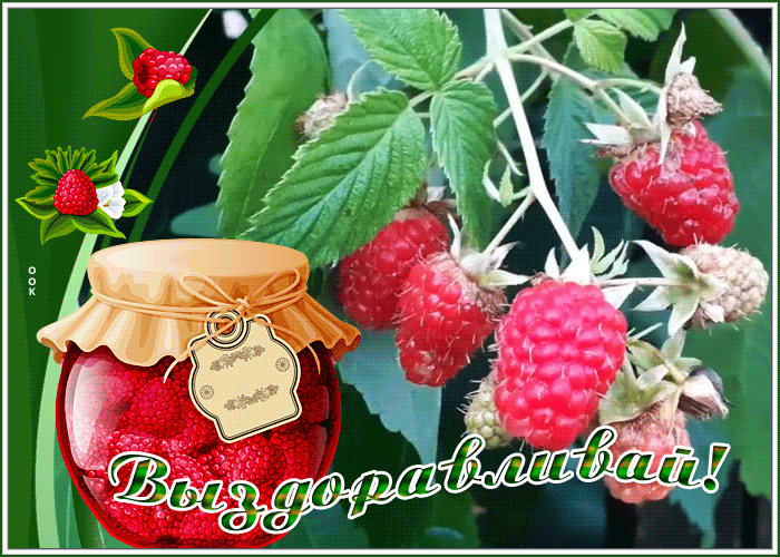Postcard картинка выздоравливай с малинкой
