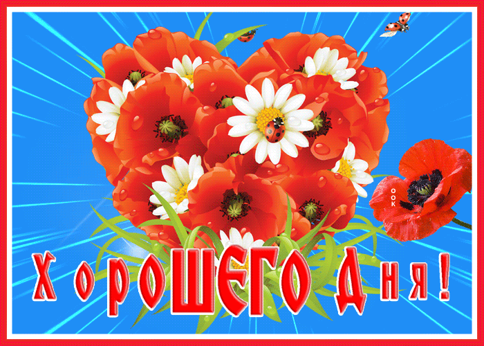 Picture картинка хорошего дня с красными маками
