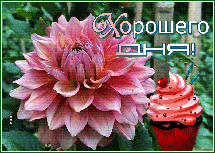 Picture картинка хорошего дня с вкусным кексиком