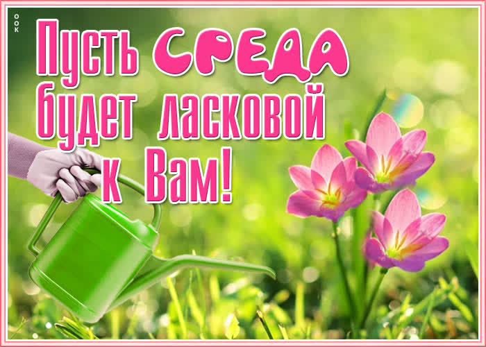 Картинка картинка яркой среды