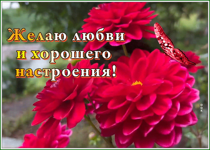 Picture картинка желаю любви и хорошего настроения