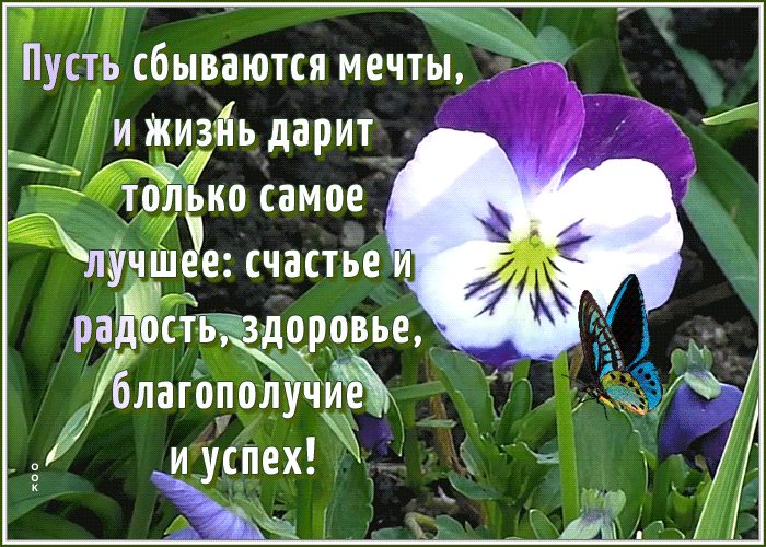 Открытка картинка желаю счастья