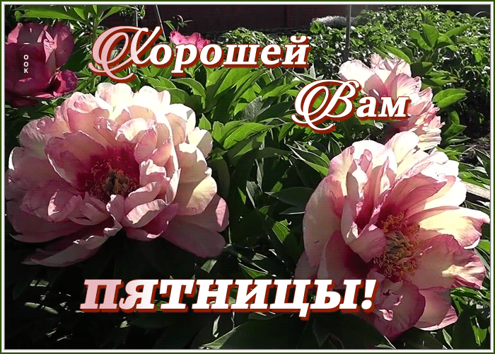 Открытка хорошая картинка с пятницей