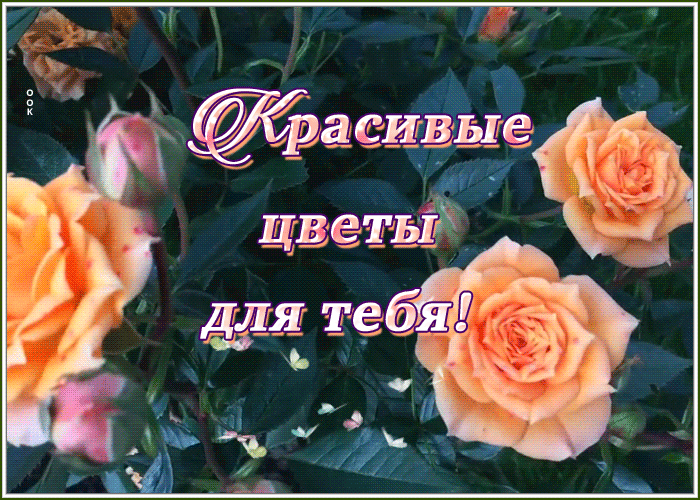 Открытка хорошая картинка с цветами