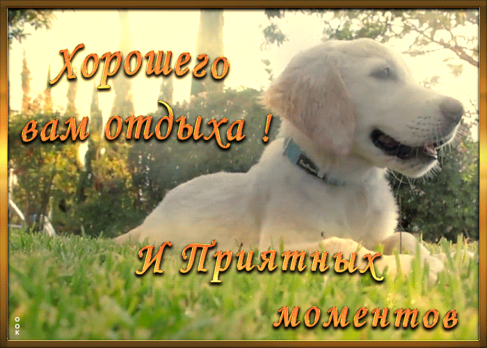 Картинка хорошего отдыха в выходные