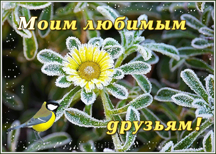 Открытка классная открытка друзьям