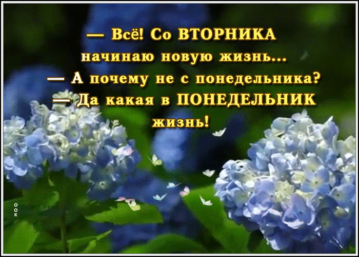 Картинка классная открытка с вторником