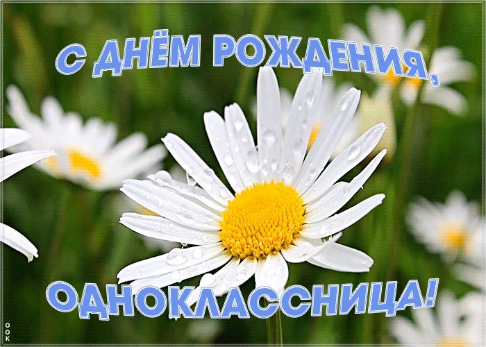 Открытка красивая картинка с днем рождения однокласснице с надписями