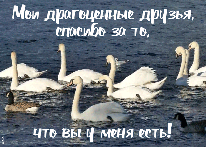 Открытка красивая открытка друзьям