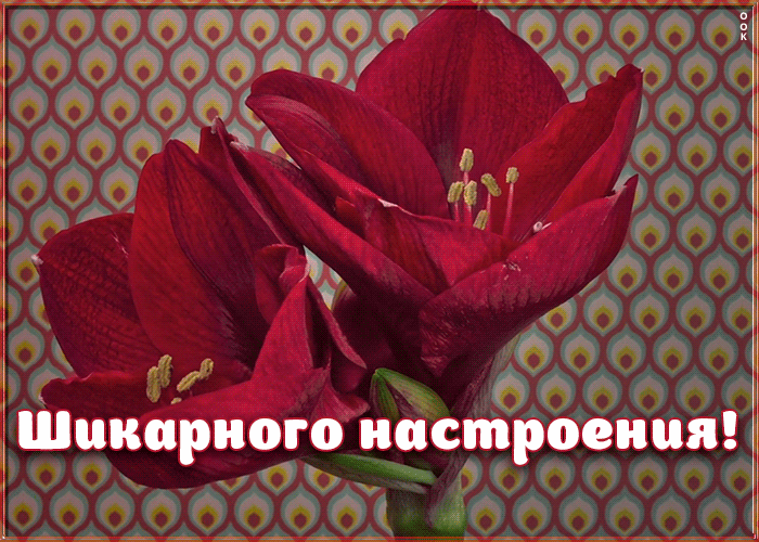 Открытка красивая открытка хорошего настроения