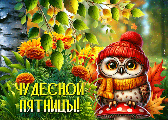 Postcard красивая открытка, пятница с вдохновением и теплом