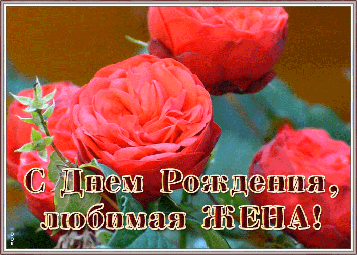 Картинка красивая открытка с днем рождения любимой жене