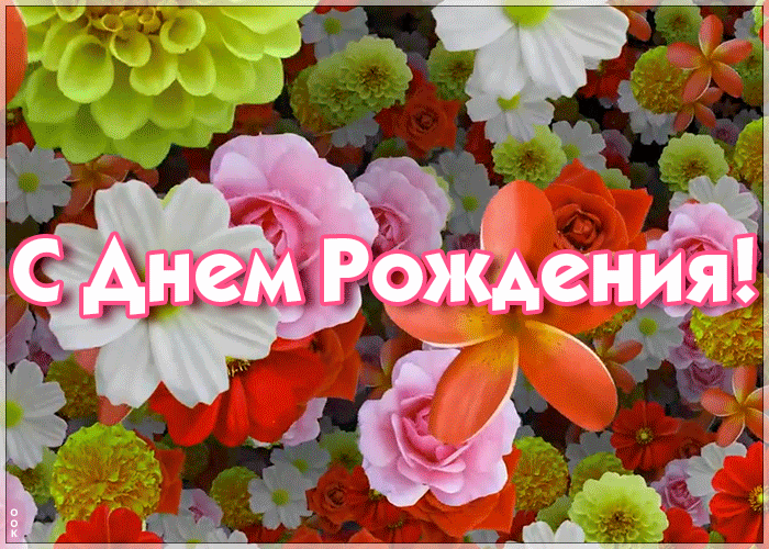 Картинка красивая открытка с днем рождения женщине с цветами