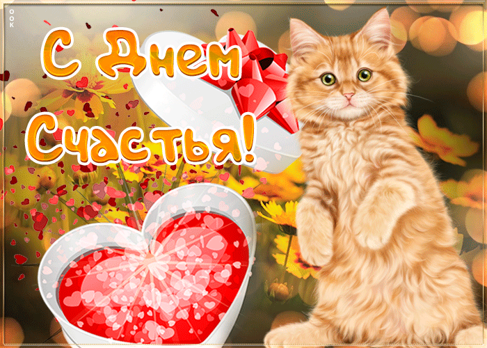 Картинка красивая открытка с днем счастья с котиком