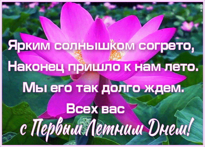 Открытка красивая открытка с наступлением лета