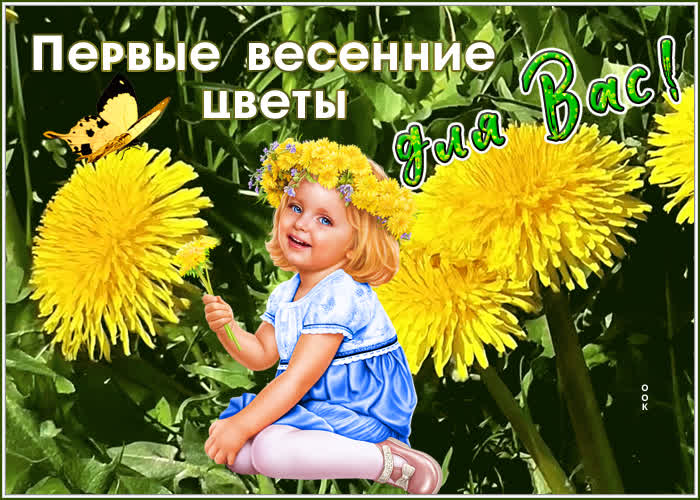 Открытка красивая открытка с цветами