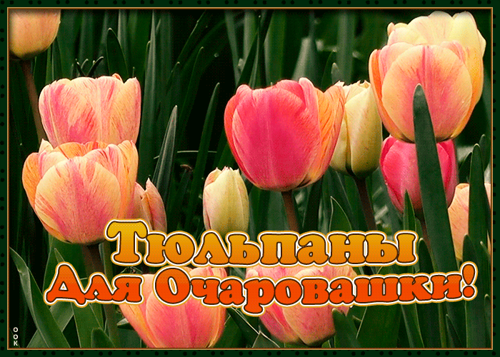 Картинка красивая открытка с тюльпанами