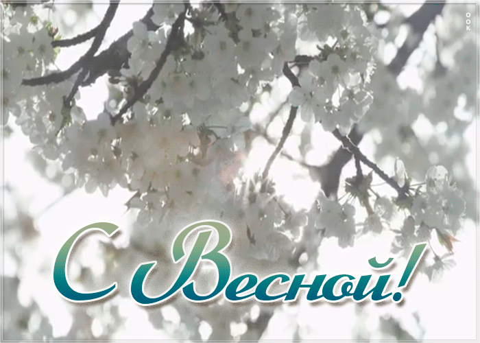 Открытка красивая открытка с весной