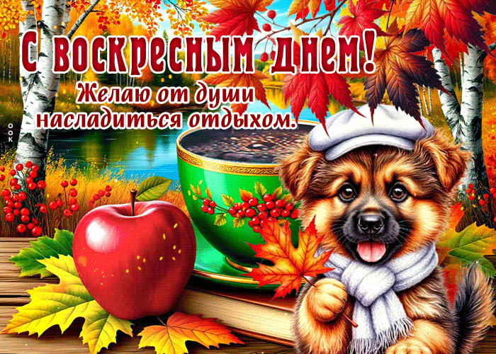 Postcard красивая открытка, уютного осеннего воскресенья