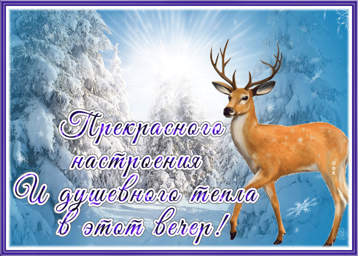 Картинка красивая зимняя открытка добрый вечер