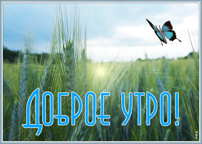Картинка красочная картинка доброе утро