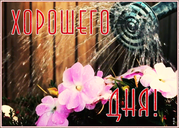 Открытка красочная картинка хорошего дня