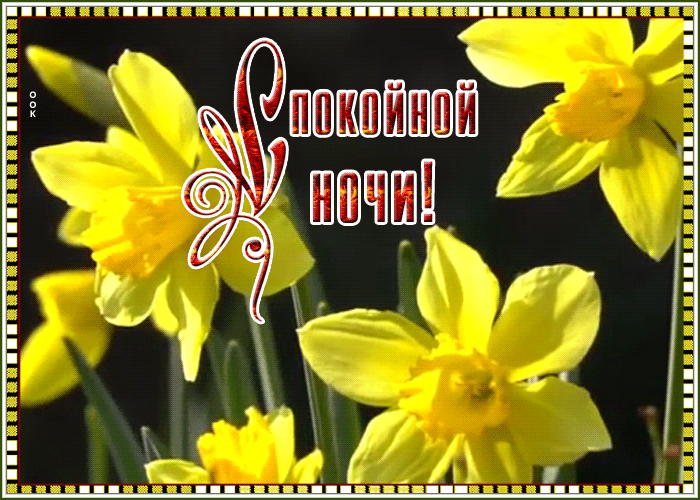 Открытка красочная картинка спокойной ночи