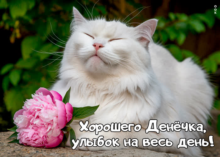 Postcard креативная гиф-открытка, хорошего денечка и улыбок на весь день