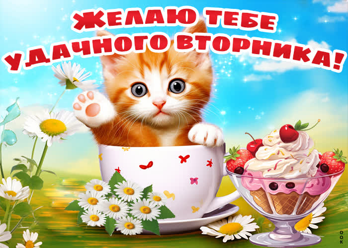 Picture ласковая открытка с удачным вторником