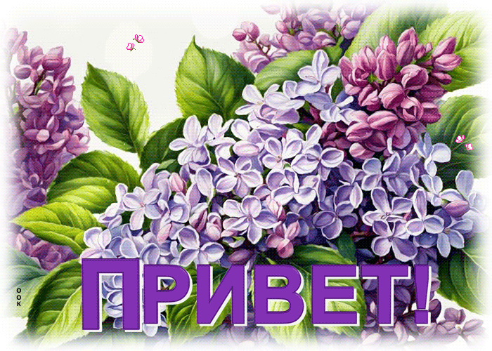 Postcard легкая гиф-открытка, теплый привет