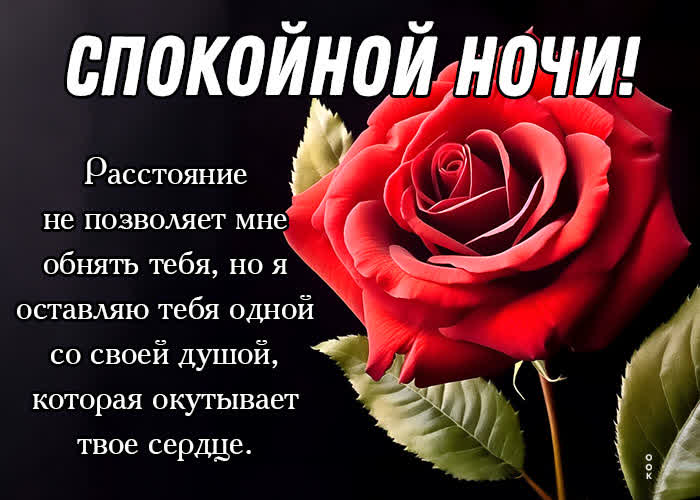Picture легкая открытка с розой, желает спокойной ночи