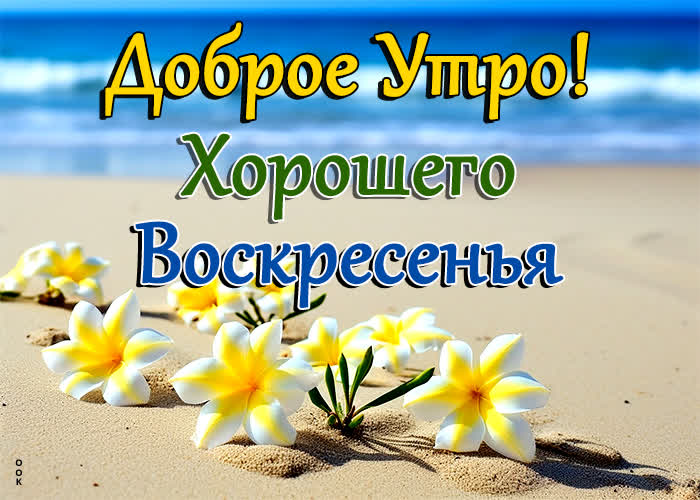 Picture летняя открытка с воскресным утром