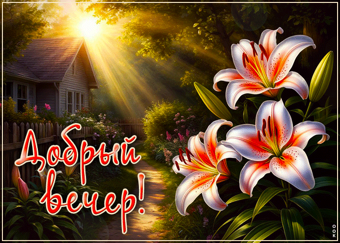 Postcard лучезарная гиф-открытка, самого доброго вечерочка тебе