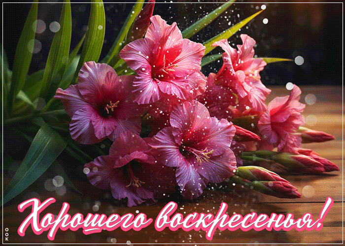 Postcard лёгкая открытка, хорошего воскресенья!