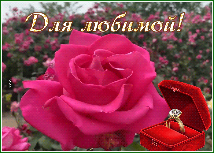 Picture люблю тебя
