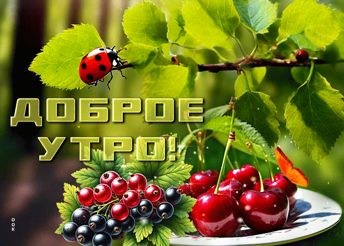 Picture мечтательная гиф-открытка, пусть добрым и бодрым будет утро