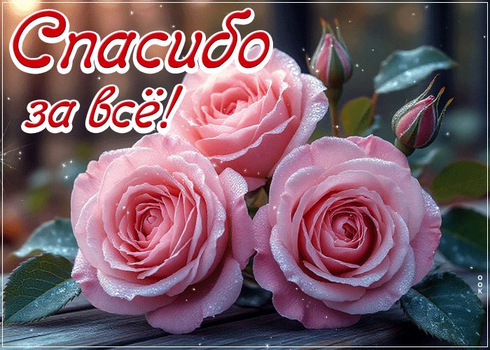 Postcard мечтательная гиф-открытка, спасибо за все