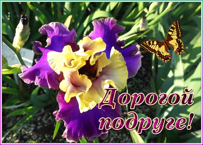 Открытка мерцающая открытка подруге