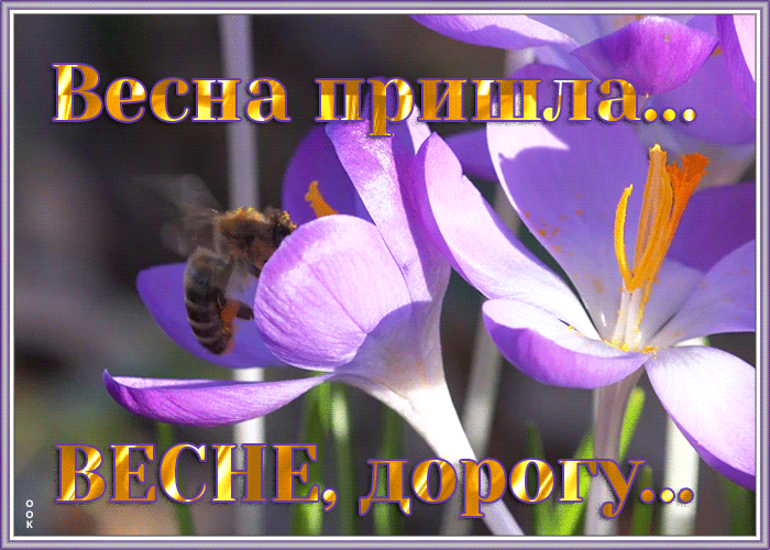 Открытка мерцающая открытка весна пришла