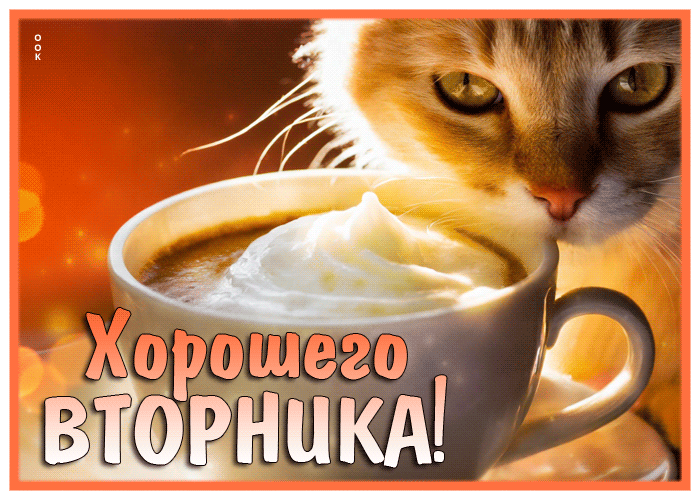 Picture милая гиф-открытка, хорошего мирного вторника