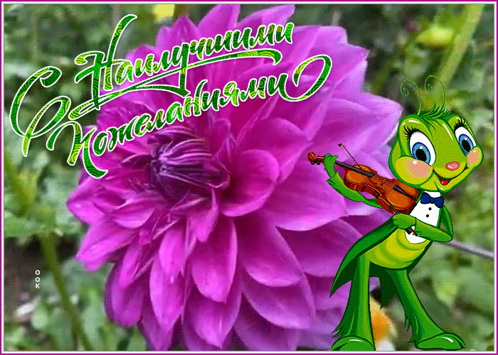 Postcard милая картинка с наилучшими пожеланиями для вас