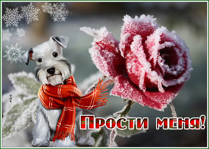 Postcard милая открытка прости с песиком в шарфике