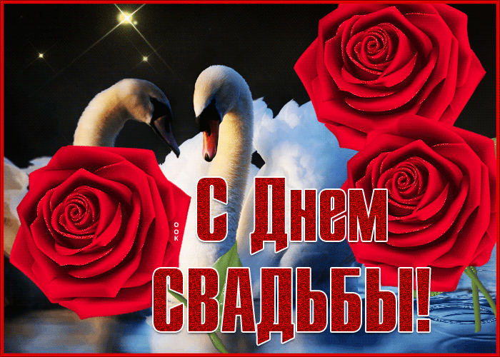 Картинка милая открытка с днем свадьбы с лебедями
