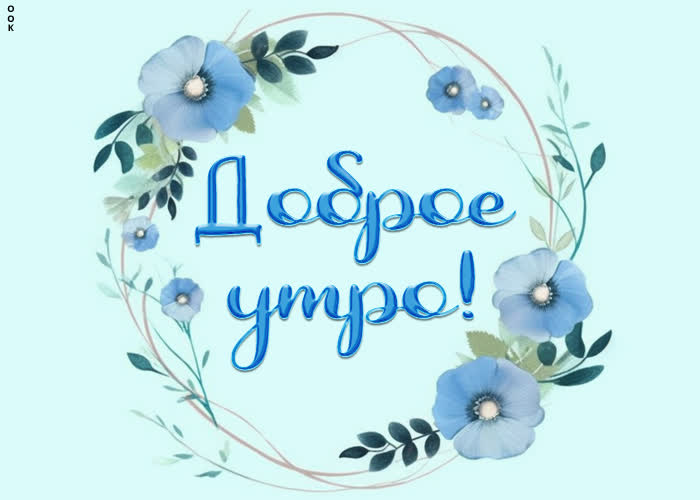 Postcard минималистичная открытка доброе утро с цветами
